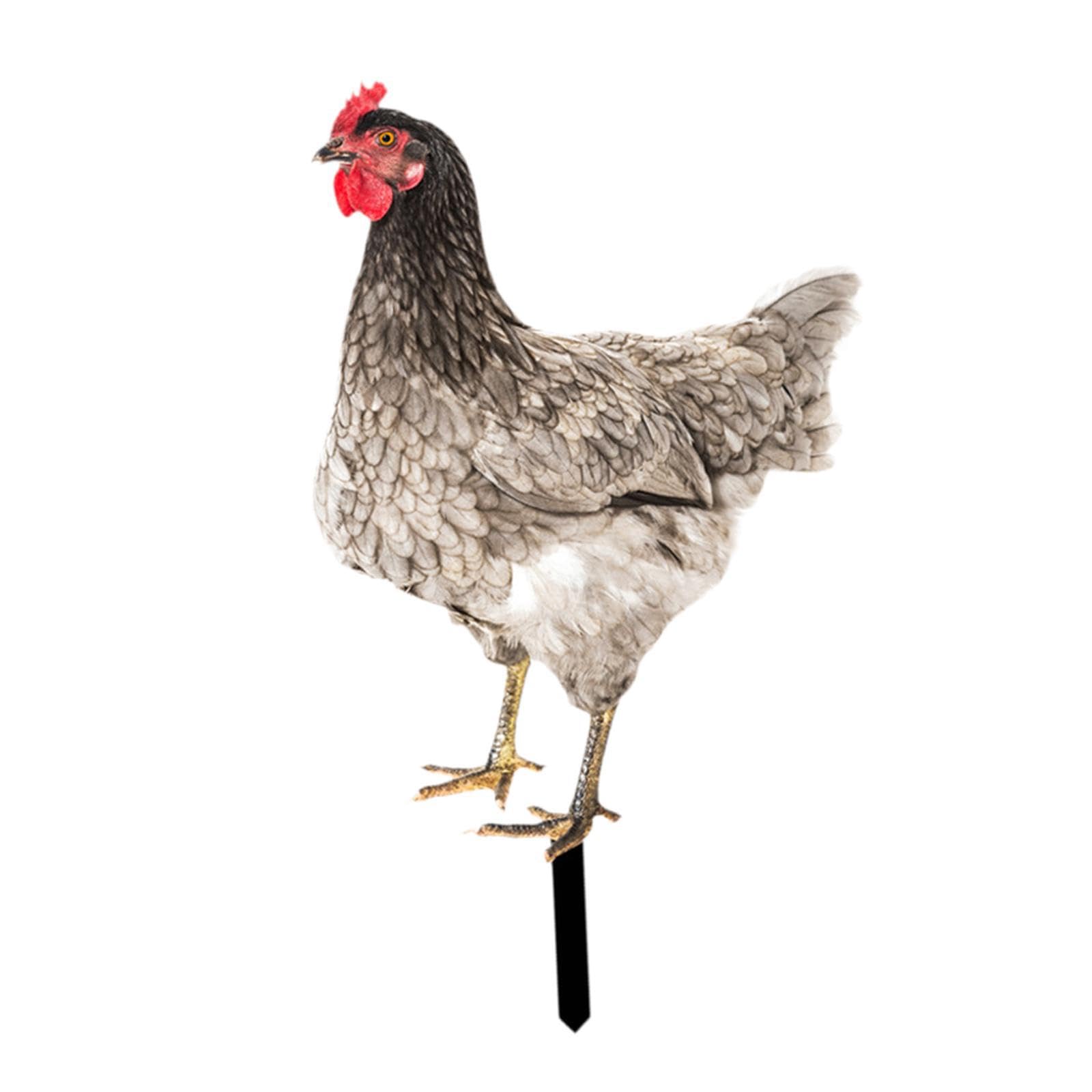 Quxvuis Chicken Garden Statue Stake Outside Outdoor Decor Inspires Smiles With Unique Rooster Yard Art Sculpture Presentation Acrylic Animal Stake Figurine, Style C