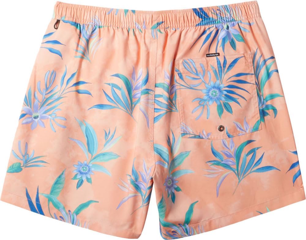 Quiksilver Men's Standard Everyday Mix 17 Volley Boardshort Swim Trunk