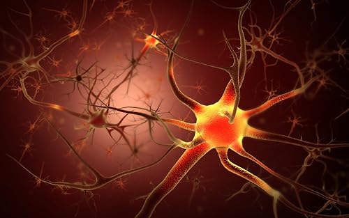 Posterazzi Imagen conceptual de neurona Póster Impresión, (17 x 11)