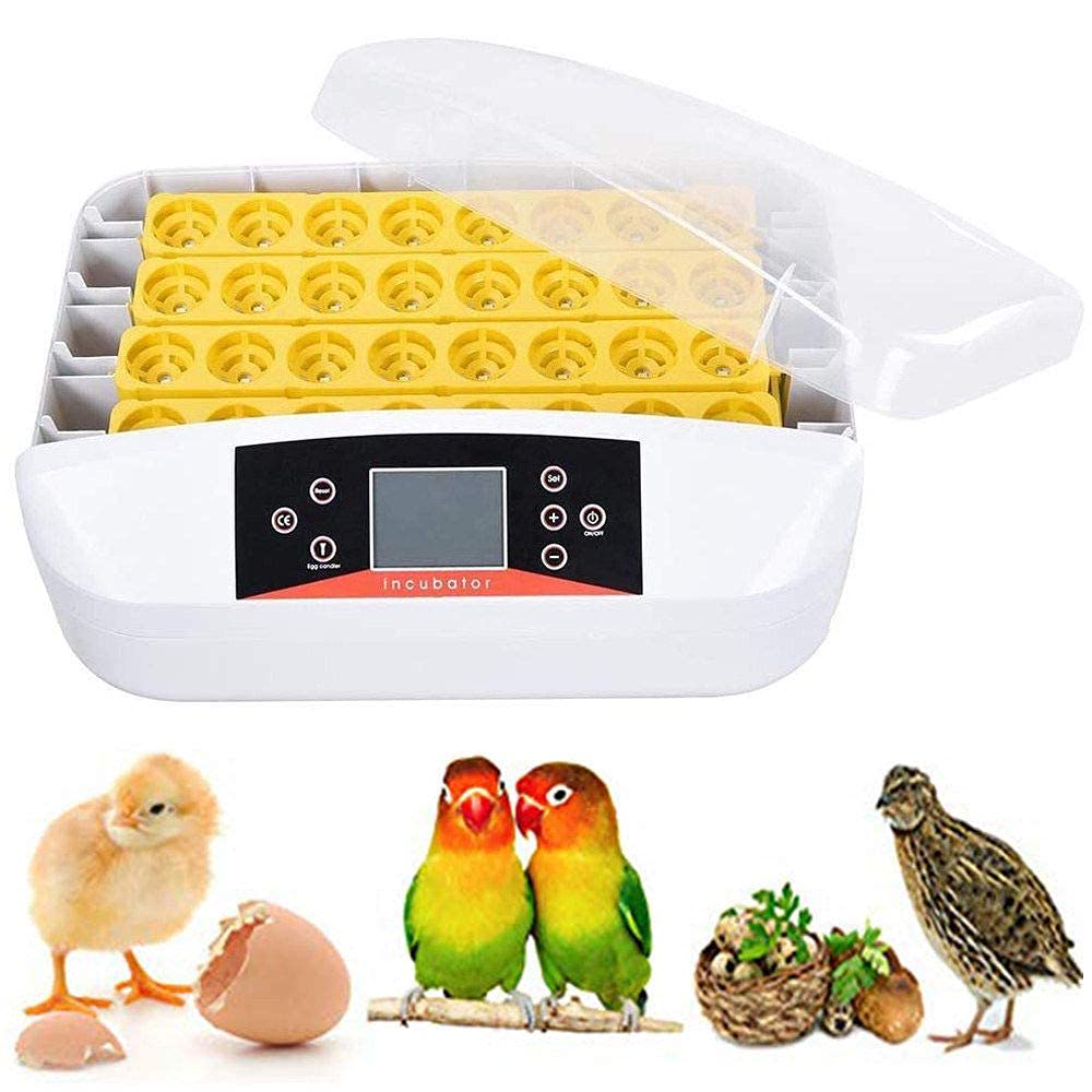 Éclosoir à volaille automatique avec incubation à une clé