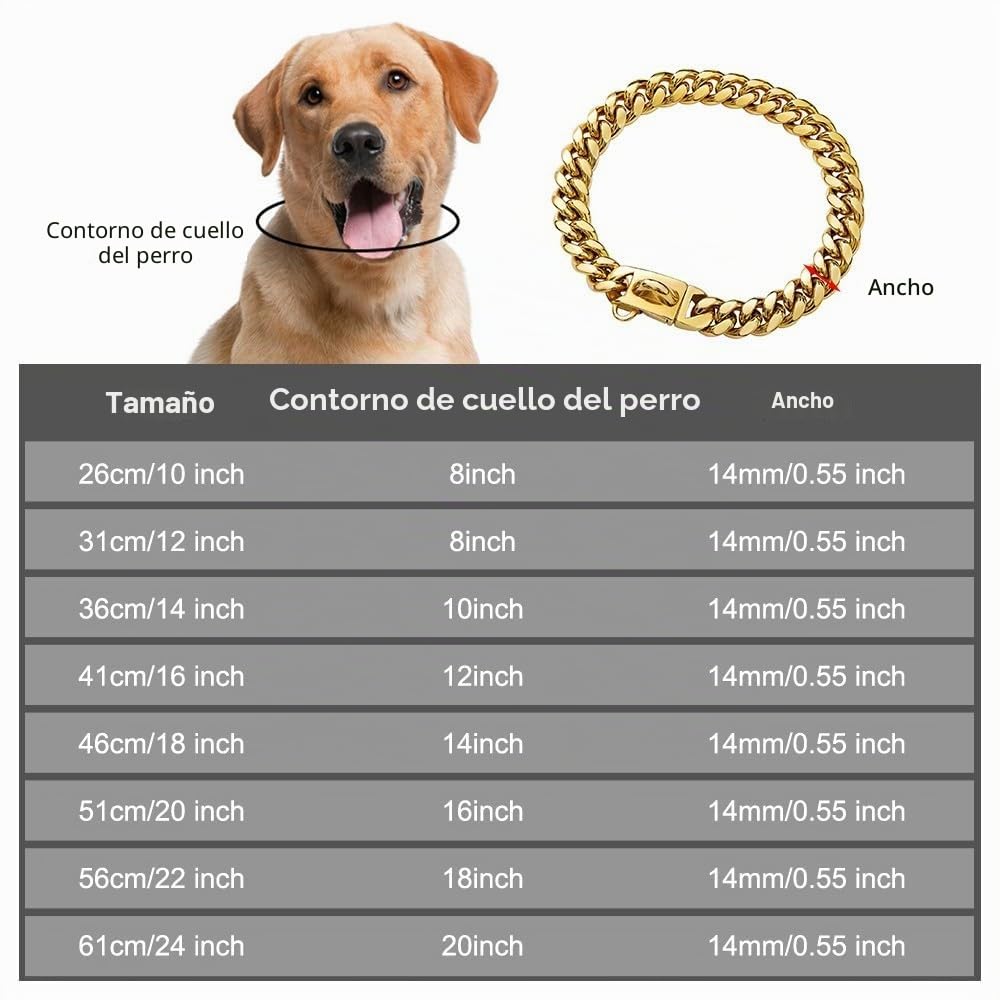 Collar cubano para perros, collar de acero inoxidable, 14mm de ancho, cadena para collar de perro, 26/31/36/41/46/51/56/61cm de longitud, collar dorado para perros de tamaño pequeño y mediano