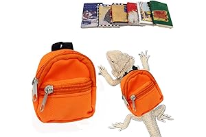Lizard backpack for Bearded Dragons