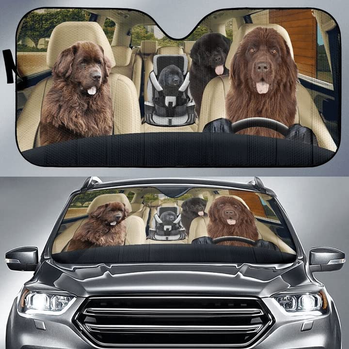Couverture pare-brise pliable pour sorties estivales en famille et animaux