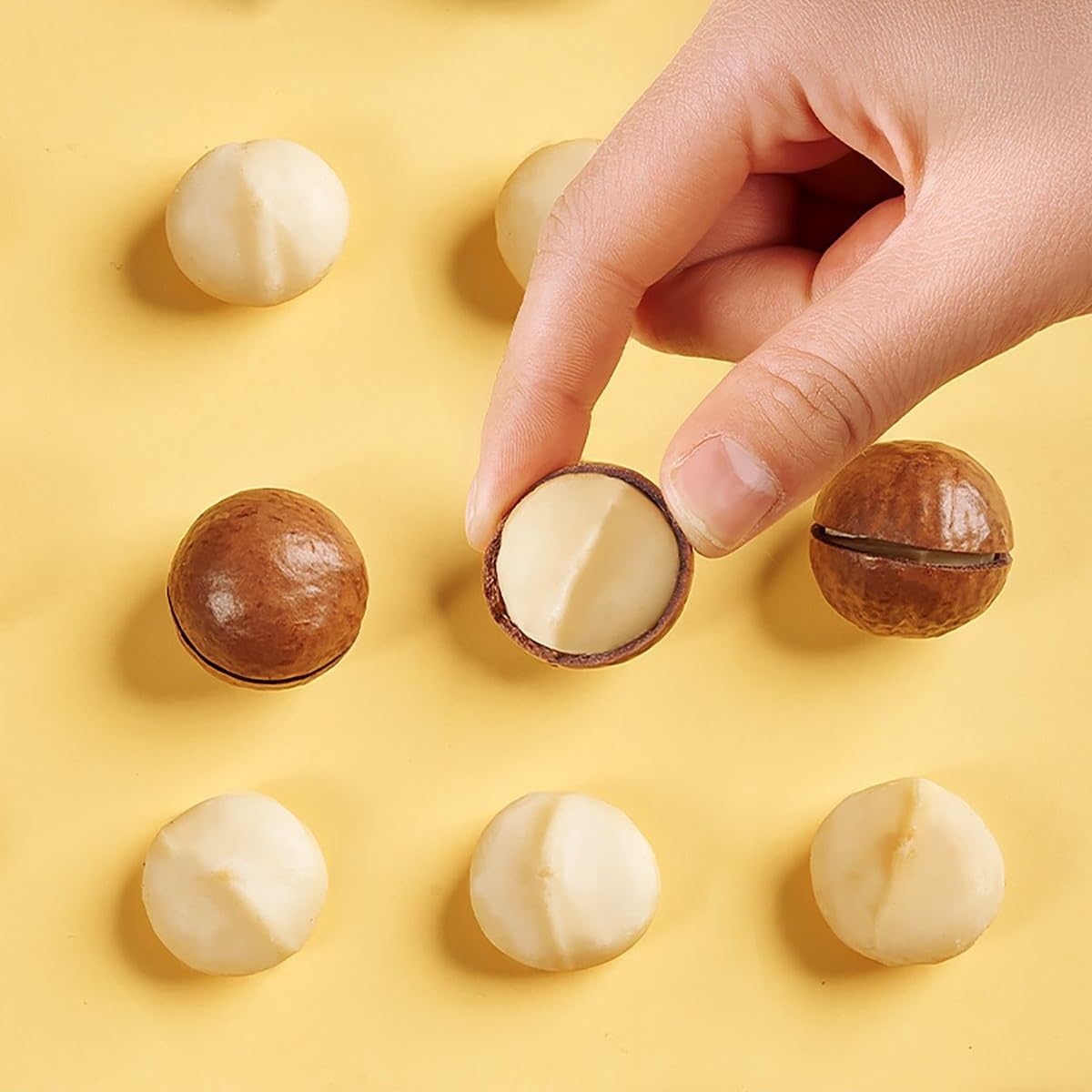 Nueces De Macadamia Premium 500g - Nueces Enteras En Cáscara Con Abridor | Nueces de macadamia gigantes 22-26mm con sabor cremoso. Incluye llave abridora de metal para pelar fácilmente.
