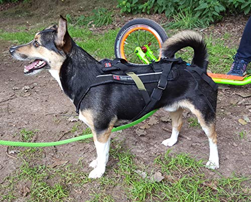 Non-Stop Zuggeschirr FREEMOTION Harness Brustgeschirr schwarz für Hunde Größe 6