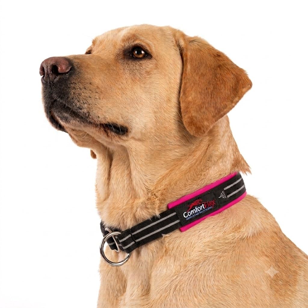 ComfortFlex Limited Slip Martingale Collar