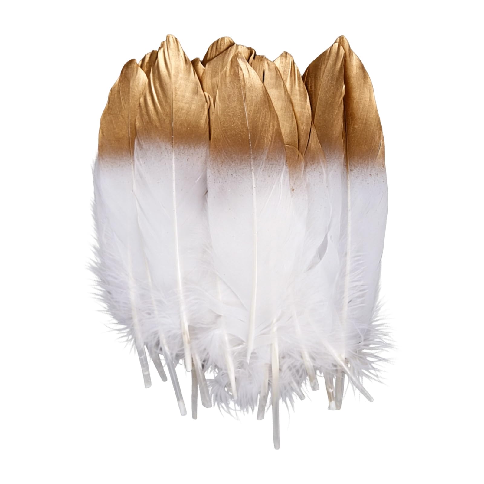 our fave 50Pcs Bright Plumage for Crafting Photography Backdrops and Themed Party Supplies Sewing Embellishment Quills