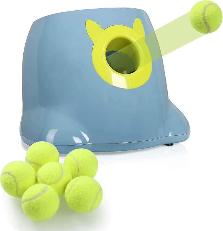 ball thrower for dogs