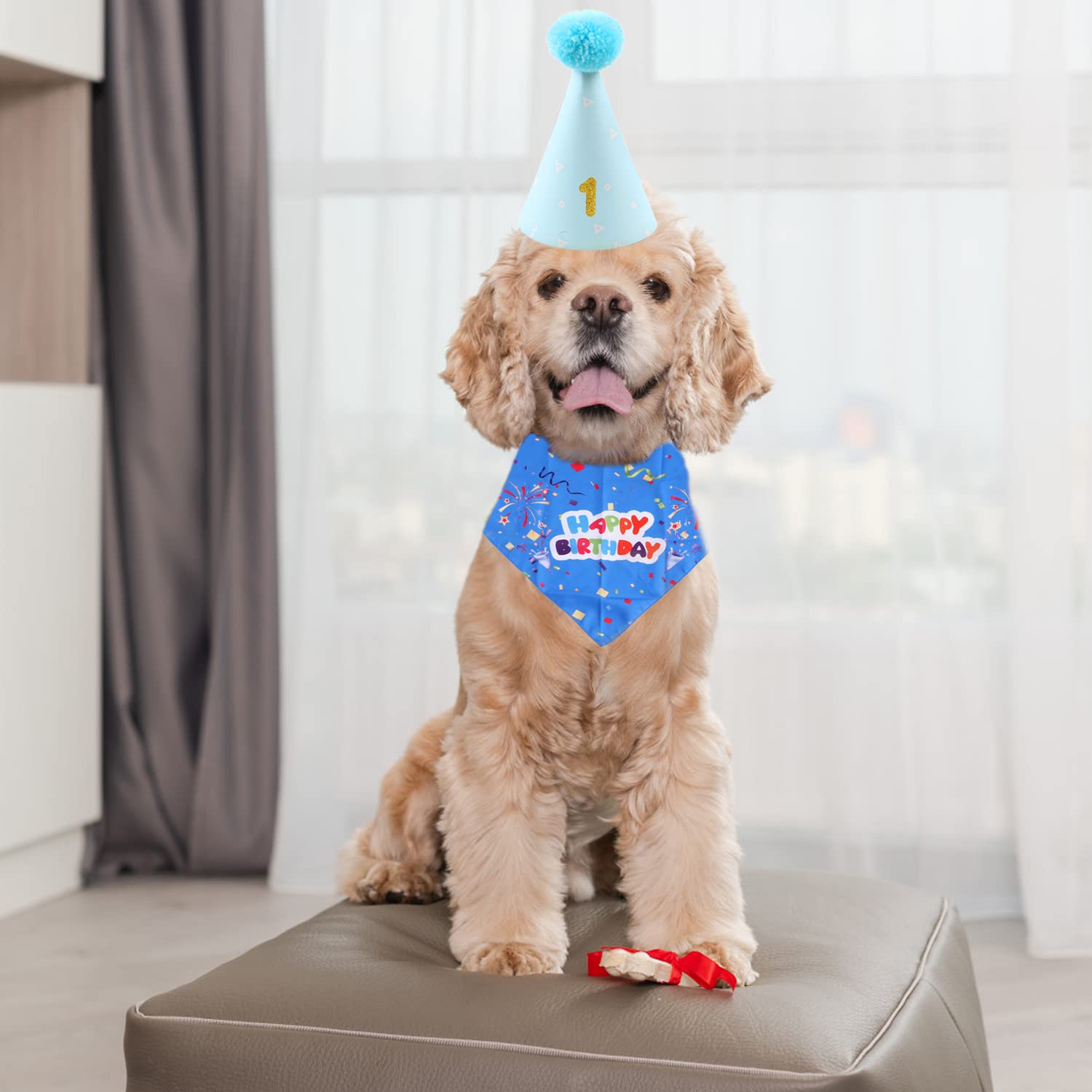 Set Bandana E Cappello Compleanno Per Cani - Decorazione Festa, Bavaglino Happy Birthday, Blu - Foto 7