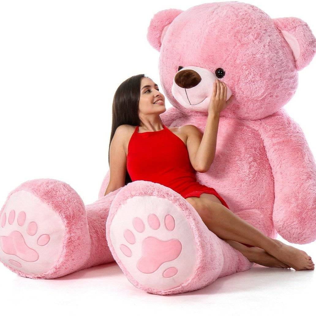 TEDSTREE 2 Feet/60cm Skin Friendly Ultra Soft Teddy Bear for Kids Perfect Present for Birthday, Babies, Girls, Boy, Girlfriend -(Pink Printed-2 Feet/ 60cm)