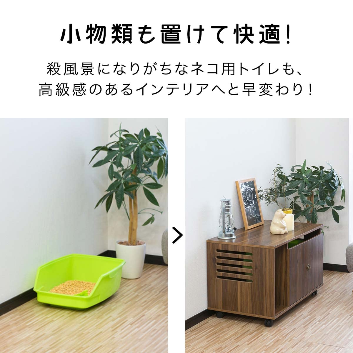 Amazon | ottostyle.jp 猫 キャット レストルーム 猫トイレ用 お手入れ