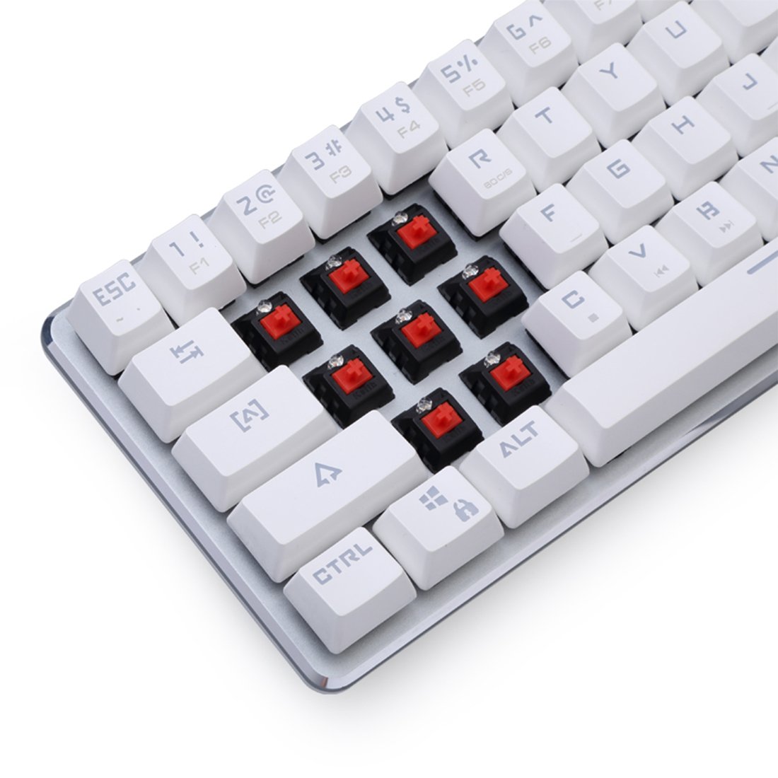 S☆KING Amazon.com: Qisan Mechanical Gaming Keyboards Red Switch
