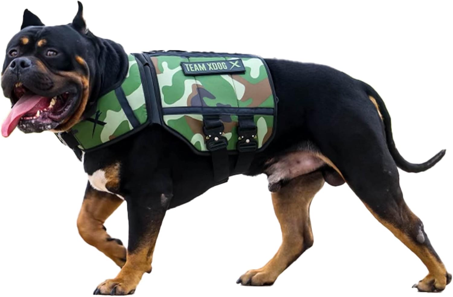 XDOG Weight Vest Harness for Dogs Build Muscle, Improve