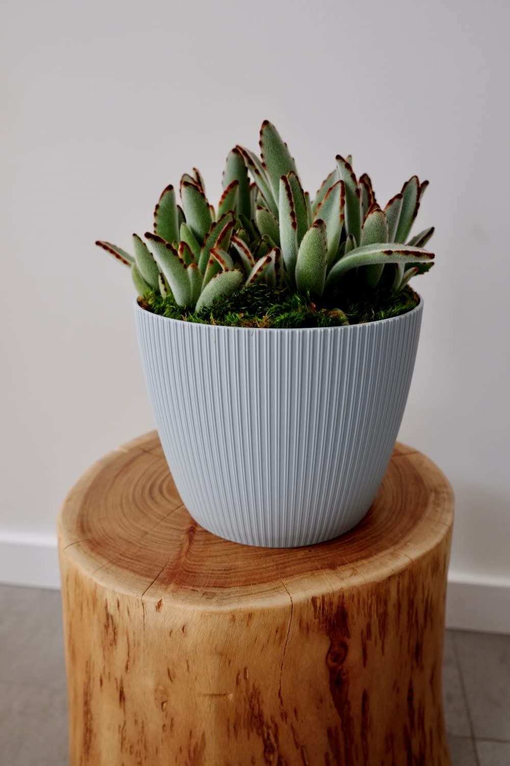 Vaso In Plastica Magnolia Jumper - Grigio 16x14 Cm - Moderno E Resistente Per Fiori E Piante Da Interno