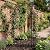 SCENDOR 48.8" W x 83.8" H Garden Arch, Black Sturdy Metal Iron Arbor, Courtyard Cast Trellis for Various Climbing Plant, Outdoor European-Style Archway Wedding Ceremony Party