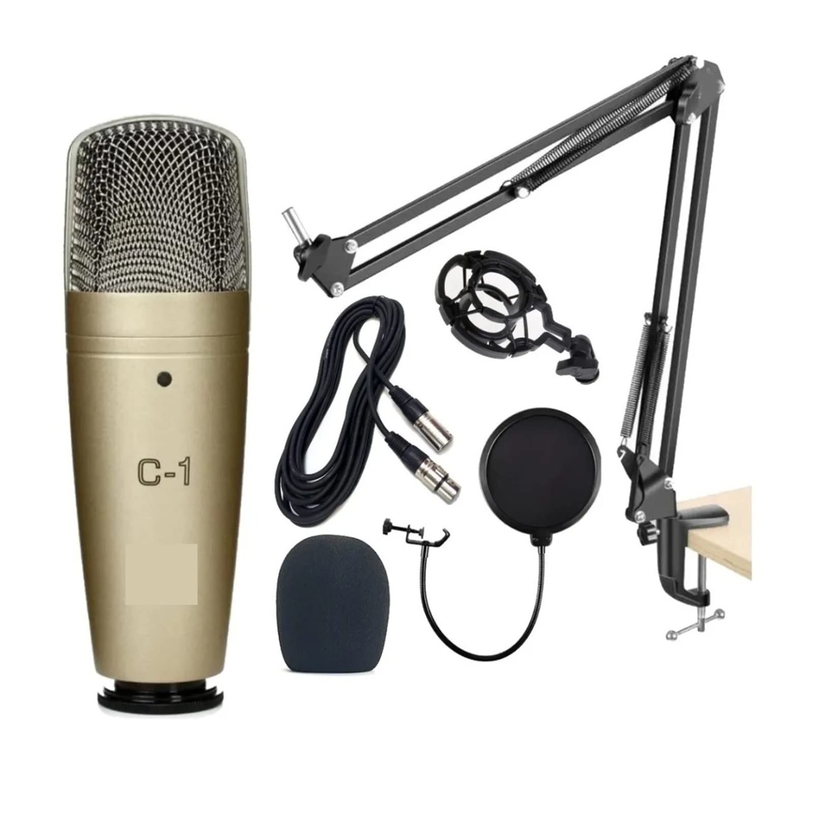 Microphone condensateur C1 anti bruit de souffle pour enregistrement voix off