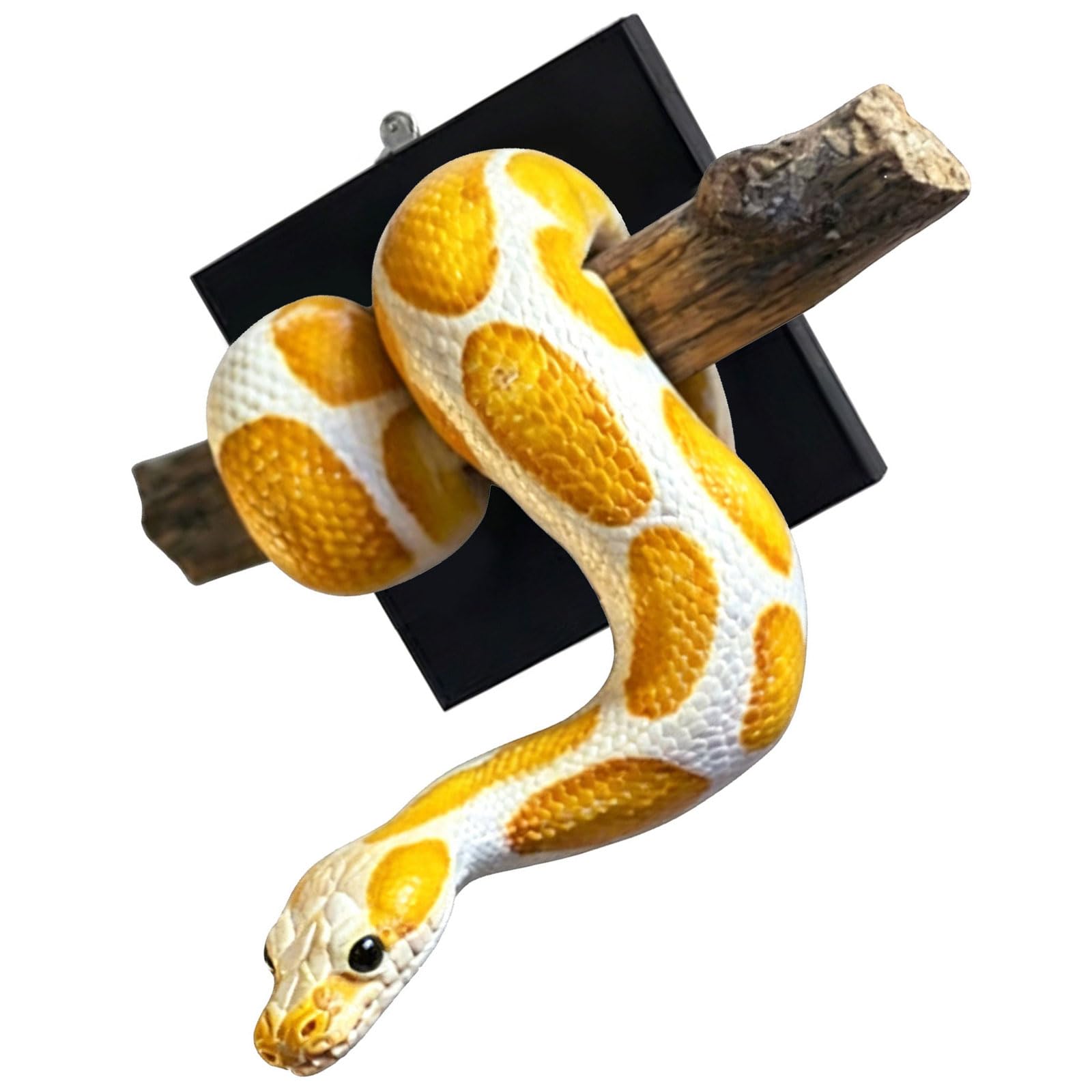 Kaeltsyn Hand Painted Resin Snake Animal Sculpture Realistic Ball Statue Decoration for Living Room Bedroom Wall Display Rosin Wall Deck