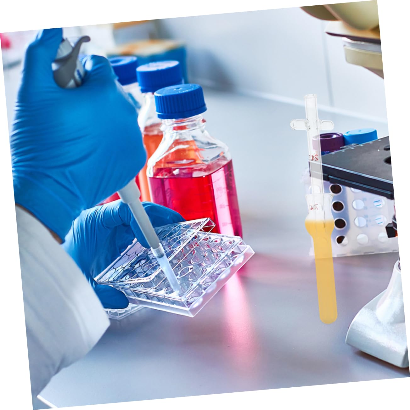 Gatuida 6piezas Homogeneizador De Tejidos De Vidrio Para Experimentos Laboratorio Herramienta De Investigación Científica Cristalería De Laboratorio Resistente y Reutilizable