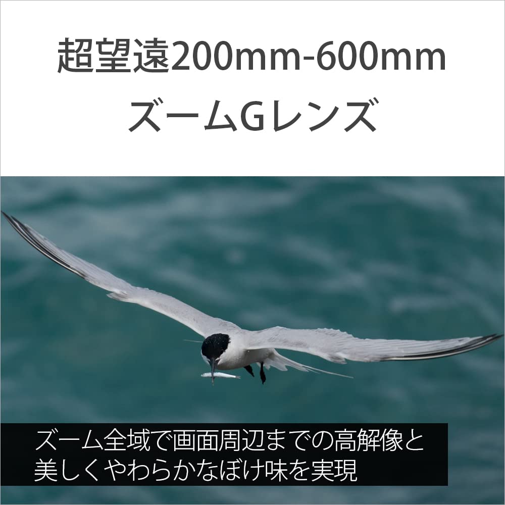 Amazon.com : Sony FE 200-600mm f/5.6-6.3 OSS G Lens : Electronics