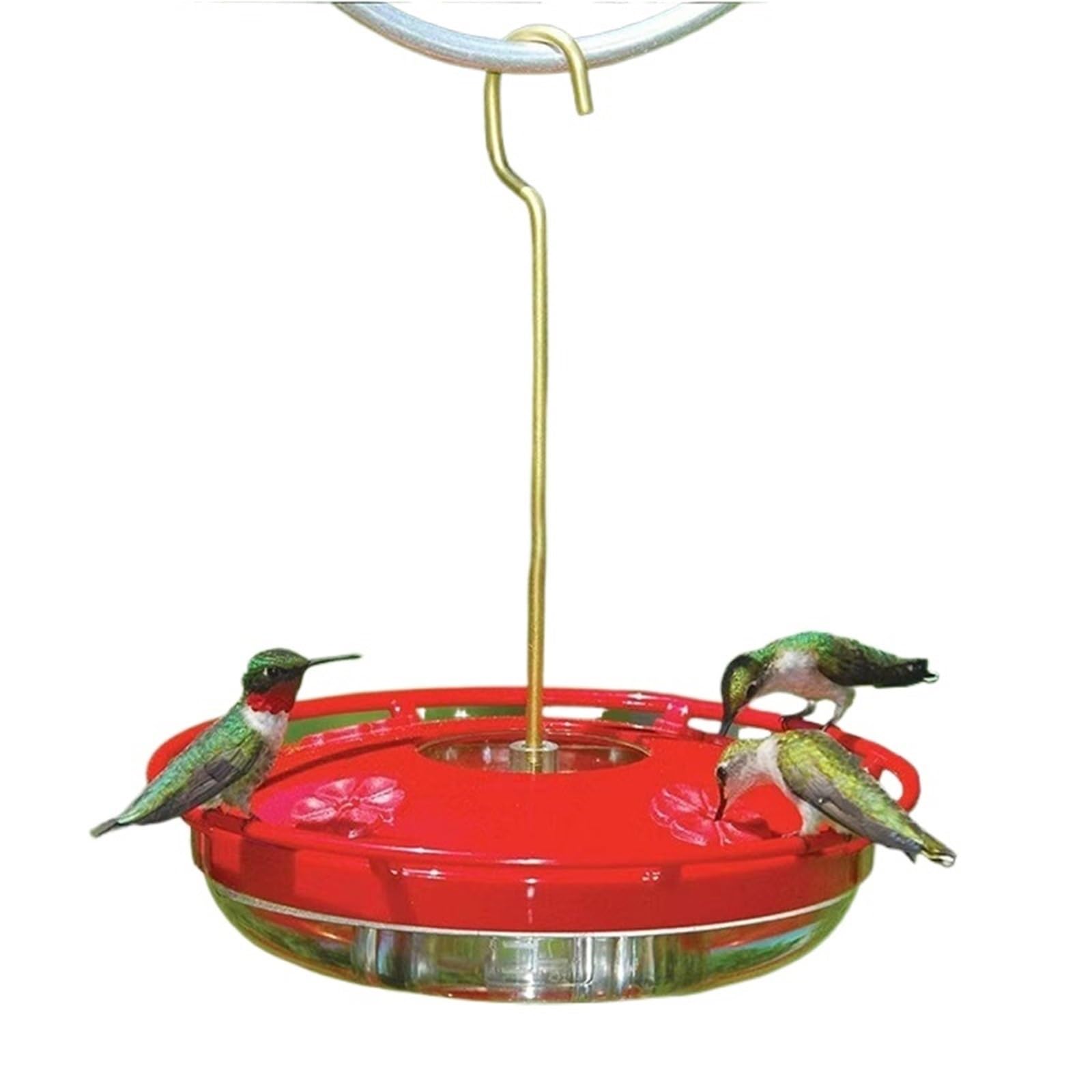 Bebedero de fácil Acceso for pájaros Comedero Decorativo for pájaros de Aspecto Natural