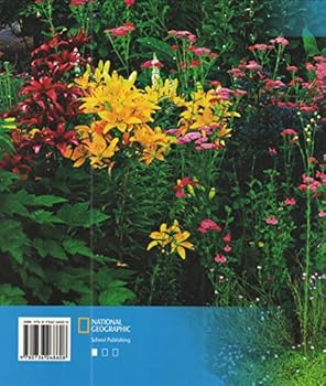 Become an Expert Plants in a Flower Garden: Florida