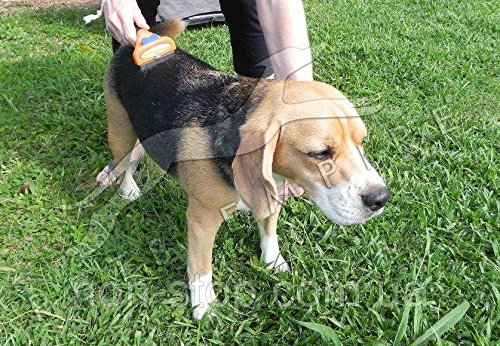 Pets Empire De-Shedding Tool for Small Dogs with Short Hair (B07DMMYZ4Z) Amazon Price History, Amazon Price Tracker