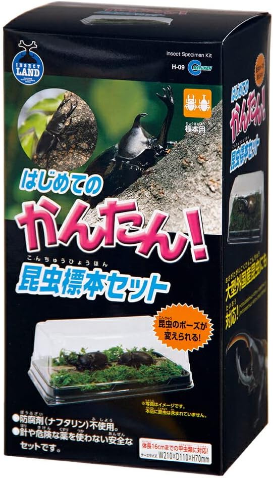 昆虫標本セット