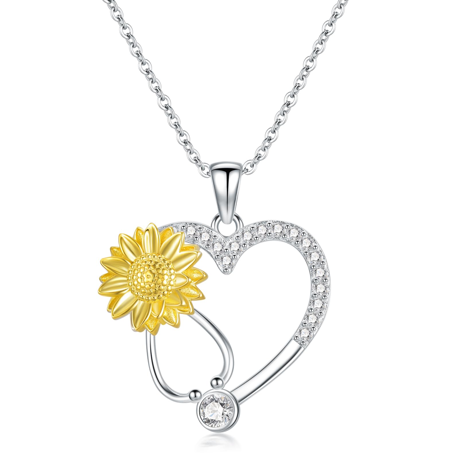 MEIDERBOGraduation Gifts Compass/Nurse/Artist/Chemist/Anchor Necklace 925 Sterling Silver Inspirational Gifts Dream Talisman Travel Necklace Jewelry Gifts for Women Men