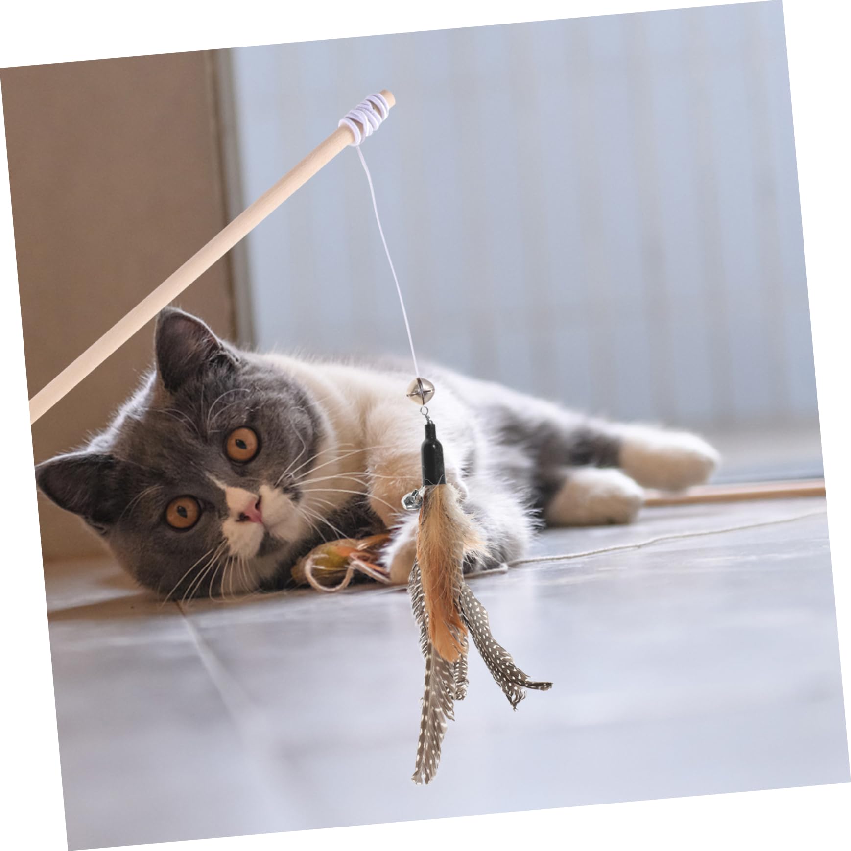 FRCOLOR 40 Pièces Recharge Chat Teaser Chat taquin Oiseau Poisson Recharge Jouets de ver de Chat Accessoires Jouet de Remplacement des Teaser Chat Chaton