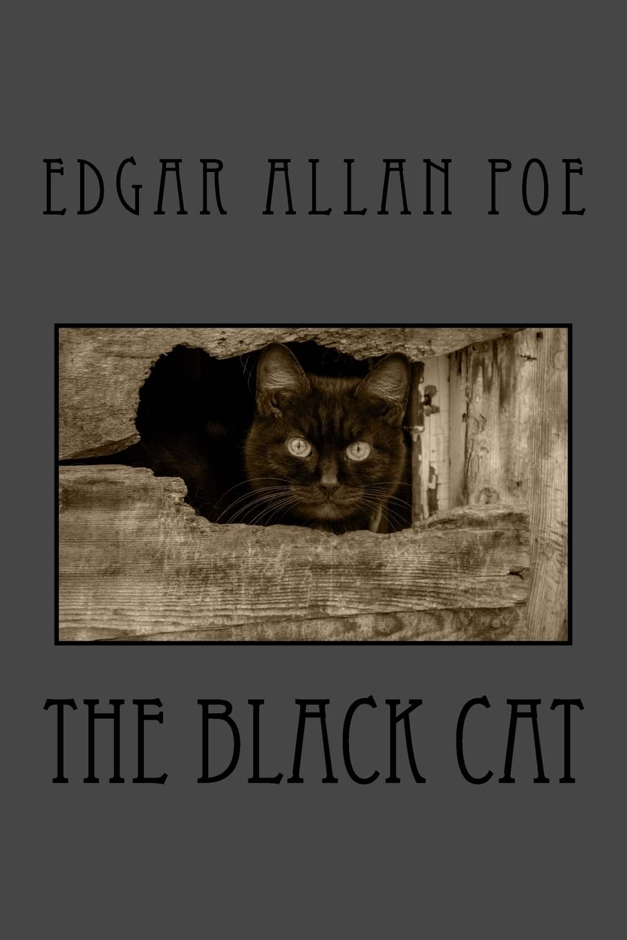 Amazon.com: The Black Cat: 9781532874239: Poe, Edgar Allan