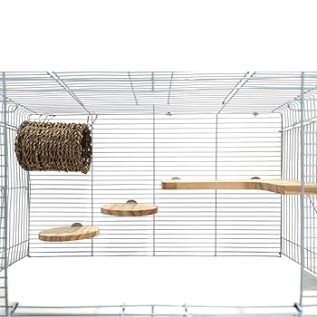 Amazon | IYOIYA チンチラ コーナー ステージ セット 4点入り