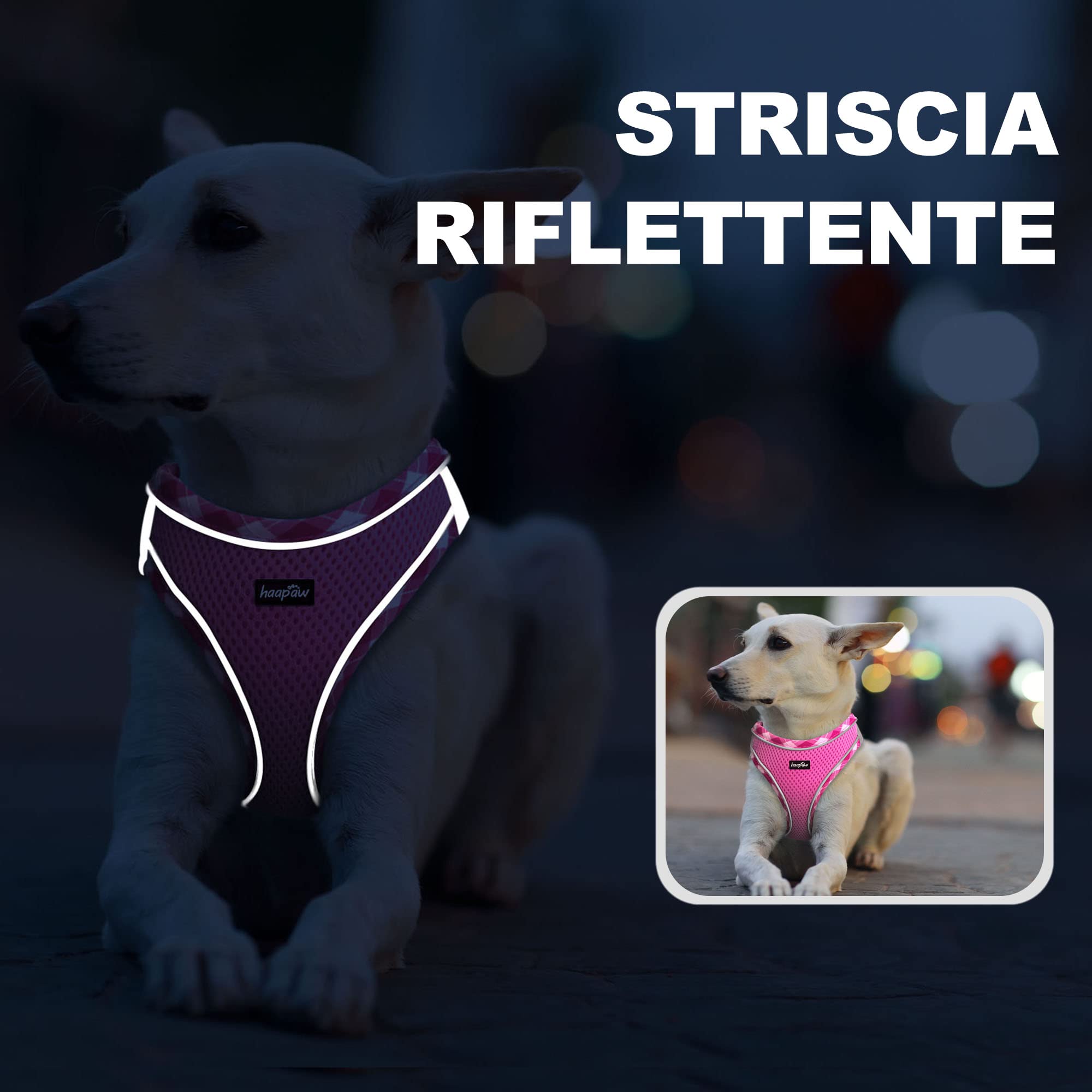 haapaw Pettorina per cani e guinzaglio, senza tirare, regolabile, riflettente Step-in, pettorina imbottita ispessita, per cani extra piccoli/piccoli e medi