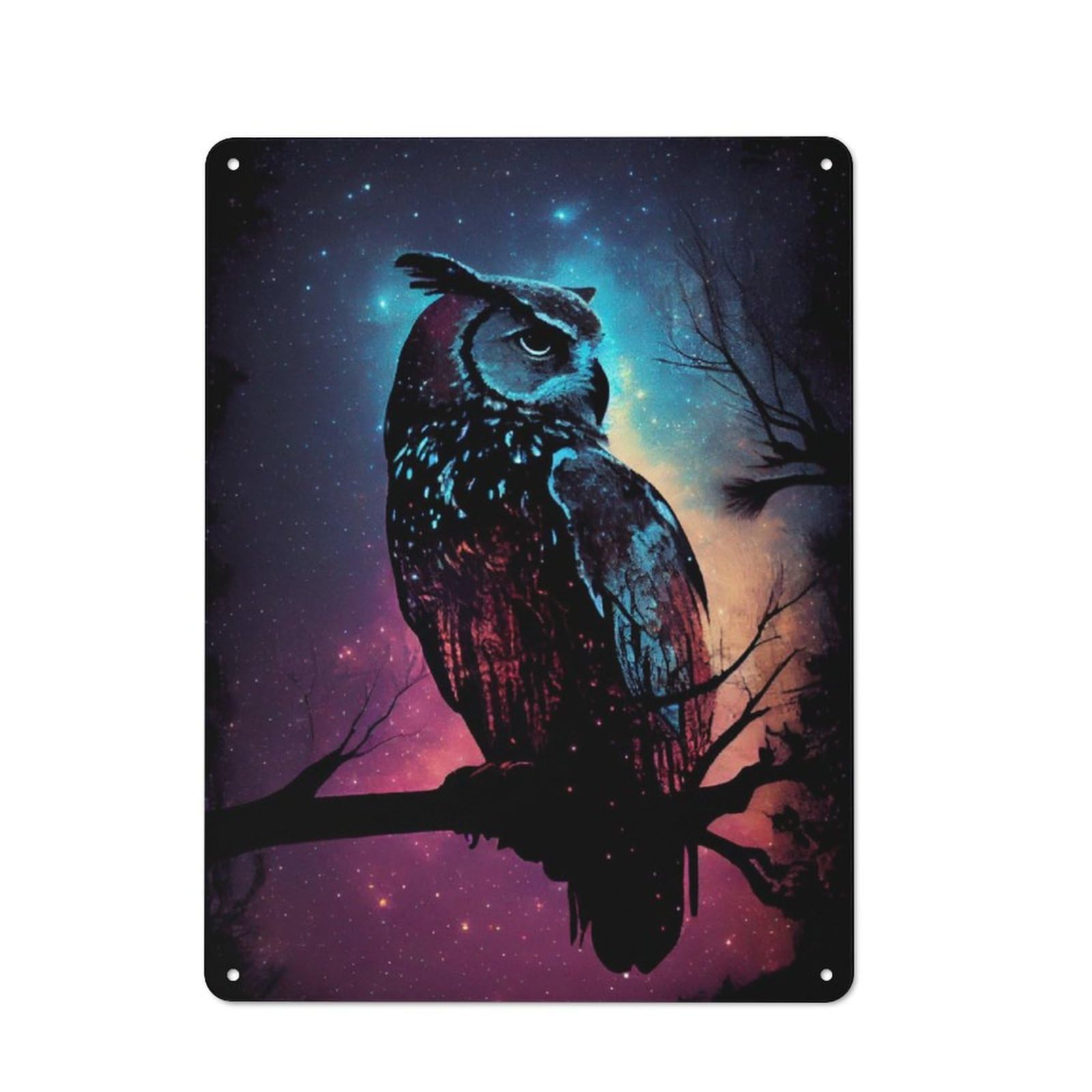 Classic Kitchen Metal Sign 40x30cm Featuring Owl Galaxy, Cafe Wall Decor for Restaurant, Kitchen, Counter Or Breakfast Nook