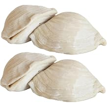 12 Large Italian Sfogliatelle Take & Bake Pastries Gourmet Handcrafted Artisanal Dessert | Flaky & Crispy with Sweet Ricotta & Candied Orange Peel | Perfect with Coffee, Tea & Gifting | Non-GMO
