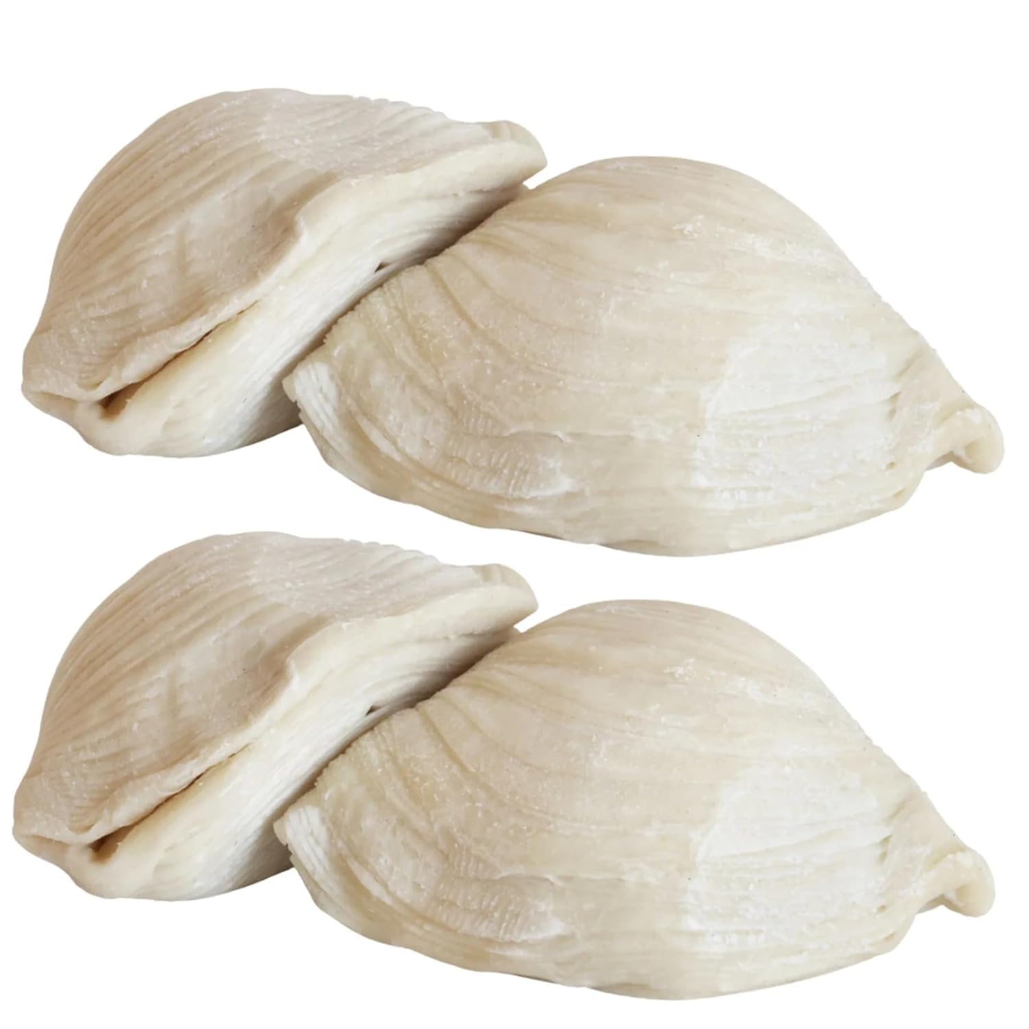 12 Large Italian Sfogliatelle Take & Bake Pastries – Gourmet Handcrafted Artisanal Dessert | Flaky & Crispy with Sweet Ricotta & Candied Orange Peel | Perfect with Coffee, Tea & Gifting | Non-GMO