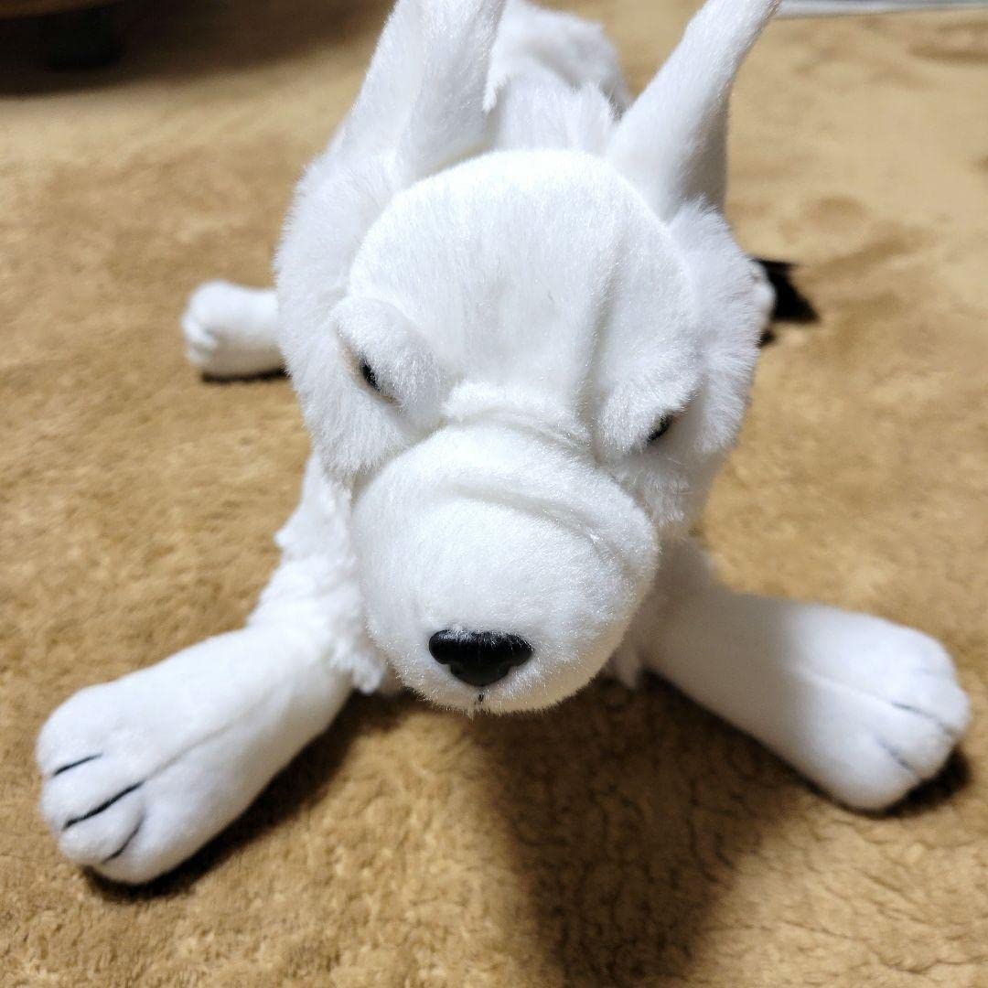 ヒン　ぬいぐるみ　どんぐり共和国 ジブリがいっぱい どんぐり共和国【公式】 on X: 