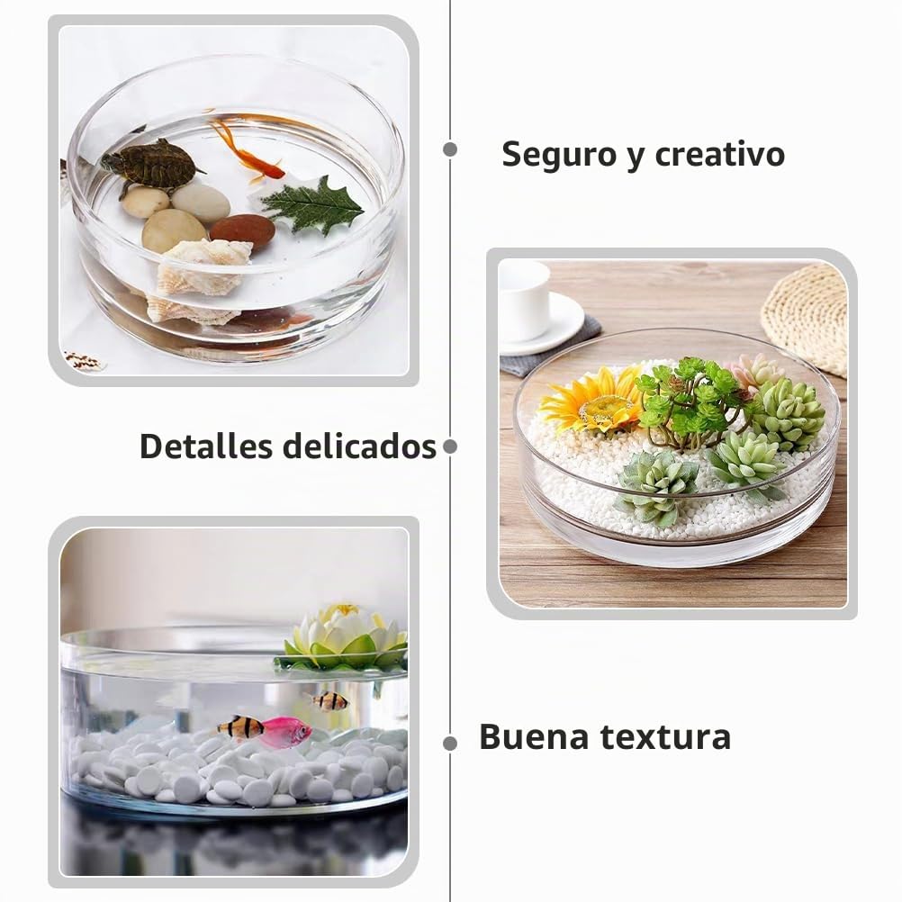 FOMIYES Jarrón cilíndrico Ancho de Vidrio, jarrón Transparente para Flores, Maceta hidropónica de Cristal, Maceta para terrario, Cuencos de Cristal, centros de Mesa, jarrón para Plantas