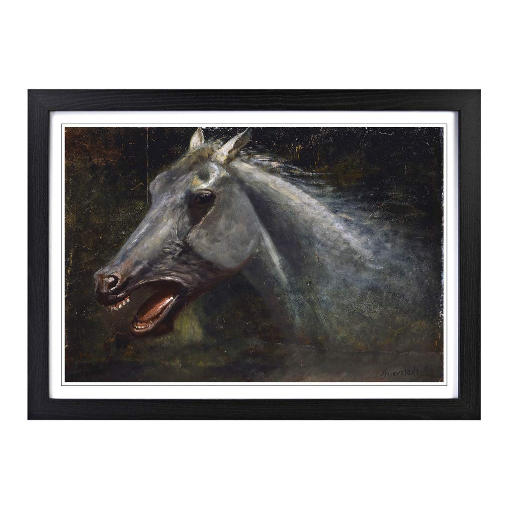 Big Box Art Framed Print of Albert Bierstadt A Wild Stallion Design | Wall Art Picture | Home Decor for Kitchen, Living Room, Bedroom, Hallway, Black, A2 / 24.5x18 Inch / 62x45cm