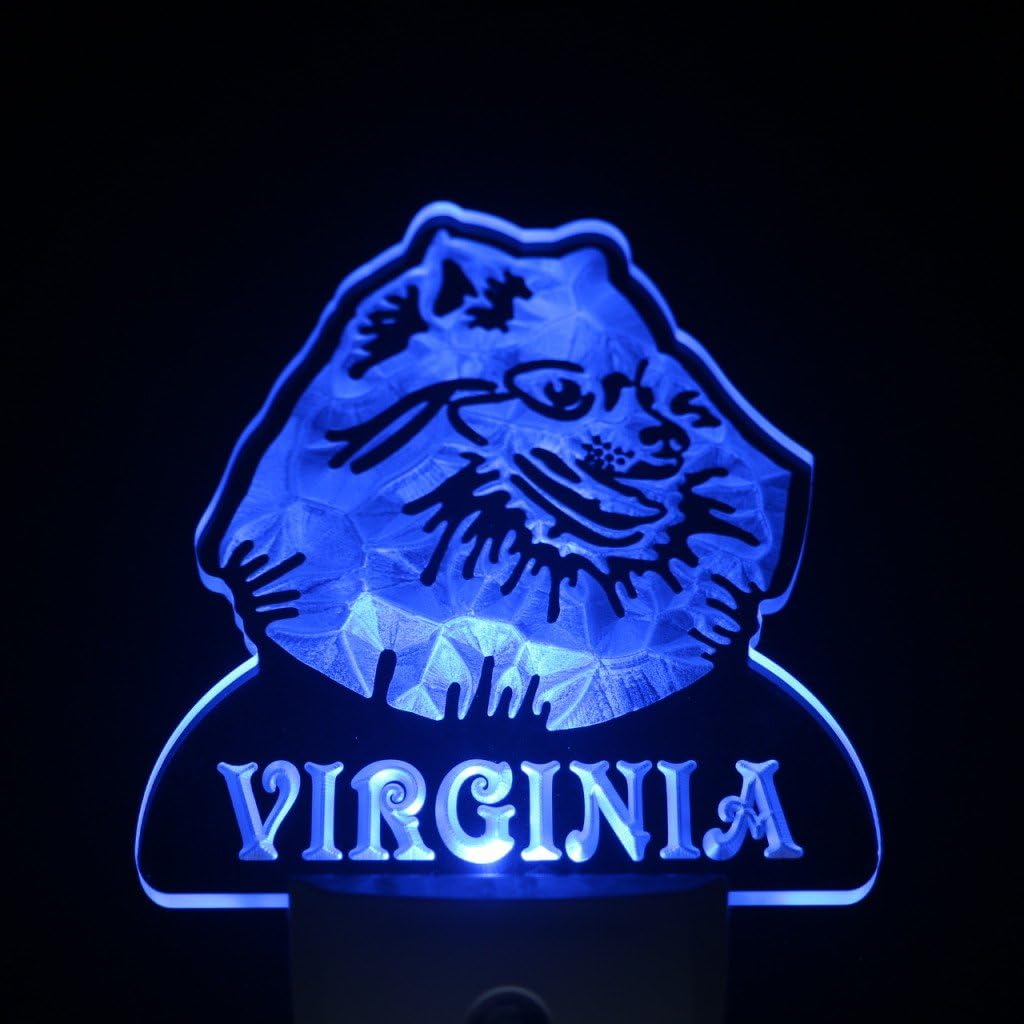 ADVPRO ws1080-tm Pomeranian Dog Personalized Night Light Name Day/Night Sensor LED Sign