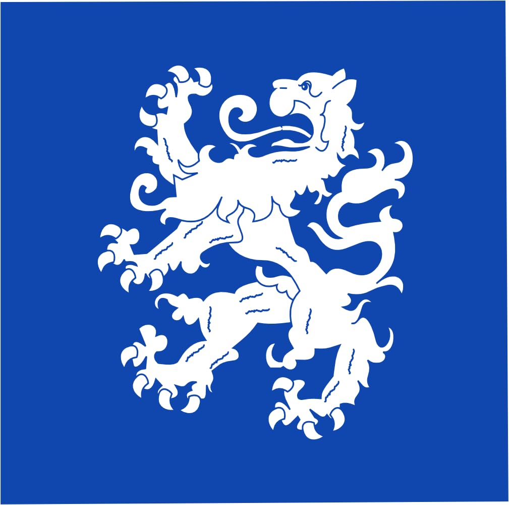 Drapeau Large Heemskerk vlag de la commune officielle format 1.35m²