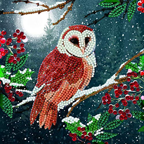 Crystal Art Diamond Painting Card Kit - Barn Owl- Create Your Own 7