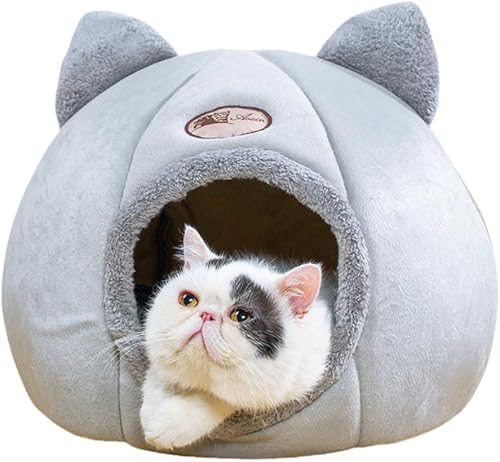 YAMAGW Lxbh LnEX ybgpQ LbgnEX h[^ g ӂӂ ܂肽ݎQ}bg Lp p ΍ ۉh Lp p ~΍ ybgpi ^ xe Q (O[/M)