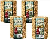 4-Pack of Mr. Bird Golden Safflower Feast Large Wild Bird Seed Cylinder 56 oz.
