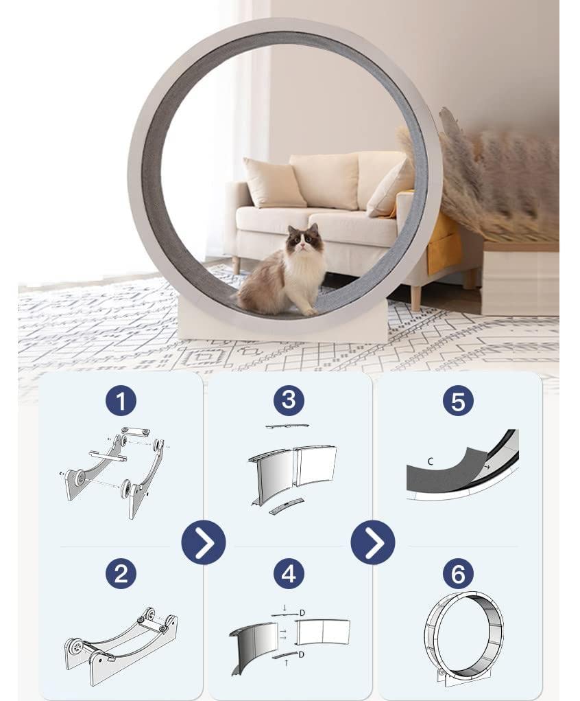 Rueda De Ejercicio De Gato,Ejercicio De Ruedas De Gato para Gatos Interiores,Cinta De Correr De Gato,Juguete De Gato Interactivo,para Actividad FíSica Y ReduccióN De Aburrimiento