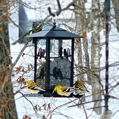 Vivace VV-WBC-003 Bird Feeder, Vivace Bird Feeders For Outdoors Hanging Metal Bird Feeder With Perches, 4Lbs Large Bird Feeder Bird Seed Feeder Wild Bird Feeders thumb #8