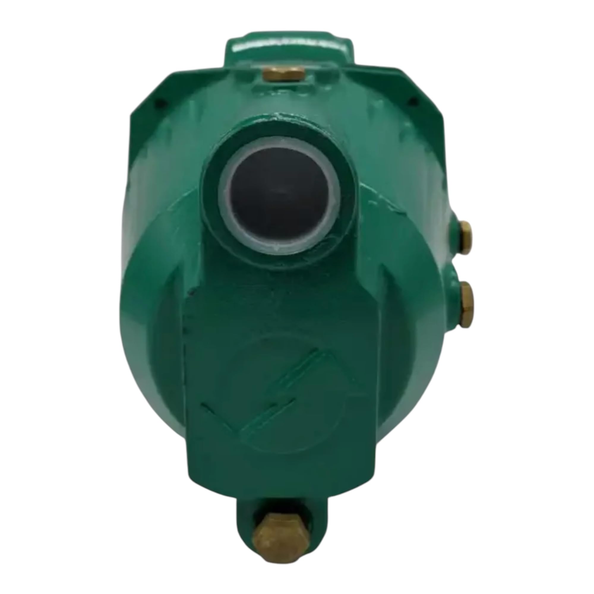 Pompa Autoclave JSWM2AX 1,5 kW Monofase 220V, Prevalenza 28-58 m, Portata 1-58 L/min, Autoadescante per Acqua Pulita, Uso Domestico, Irrigazione Giardini e Serbatoi