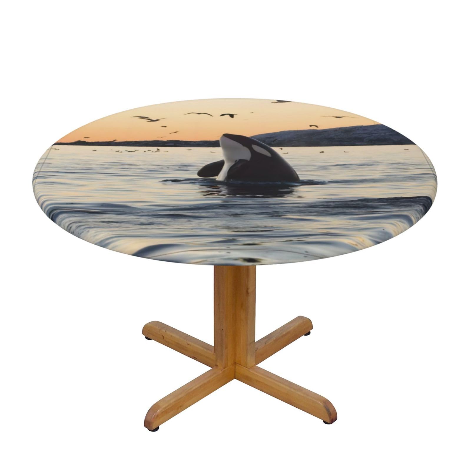 ZQYTGFDC Killer Whale S Decorative Round Tablecloth Waterproof Anti Stain Oil Proof Size for 40 50 inch