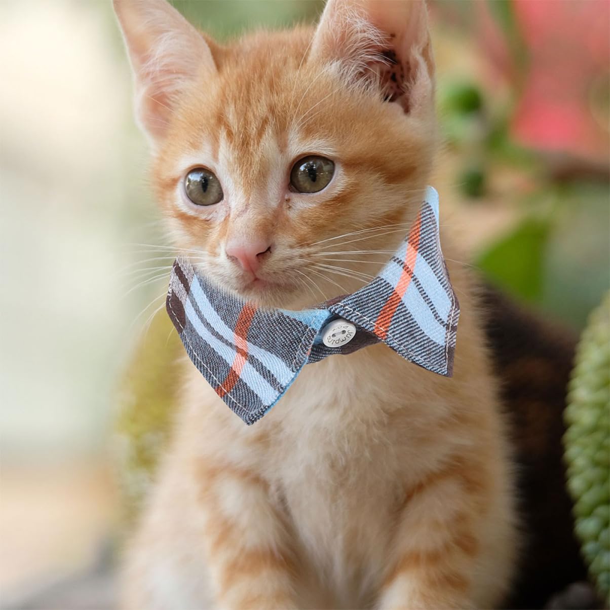 POPETPOP 8pièces Collier pour Chat Réglable avec Clochette Et Nœud Décoratif Lot Carreaux pour Look Élégant Et Sécurisé