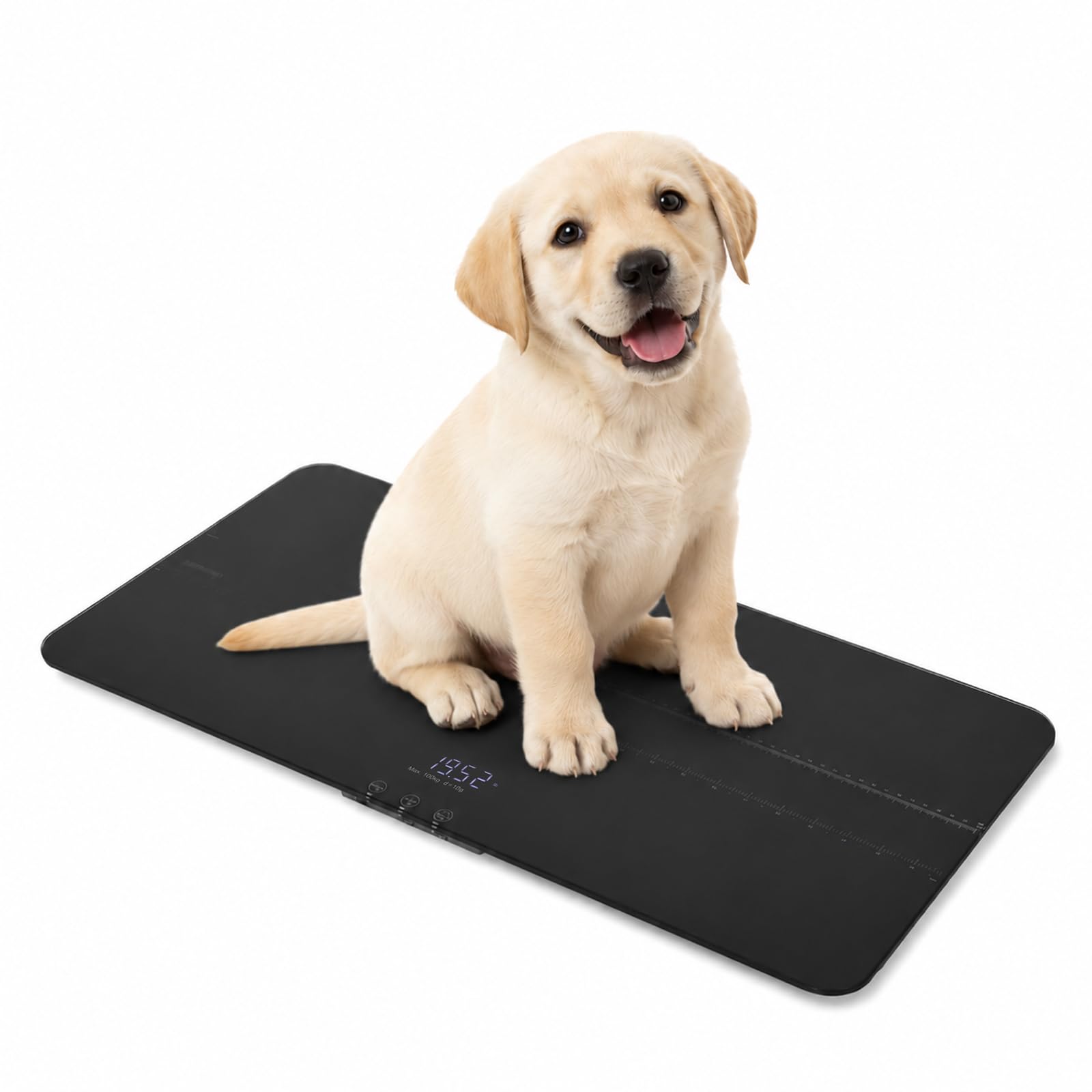 Bilancia digitale per animali domestici, bilancia per cani, fino a 100 kg, precisione 10 g, grande piattaforma, display LCD, 3 modalità di pesatura, funzione tara, bilancia per animali, per cani