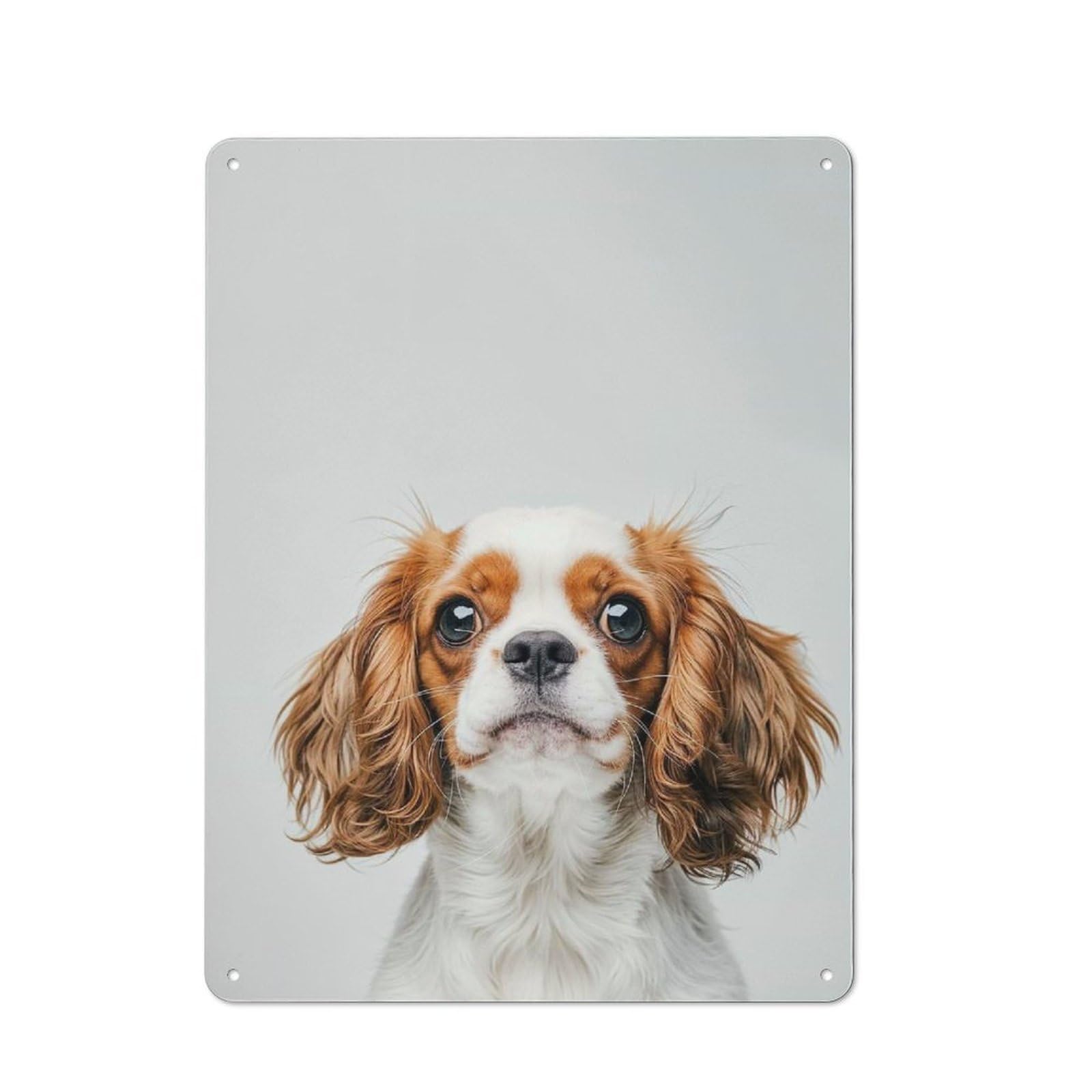 Junmoney Style-1 Baby Cavalier King Charles Vintage Metal Wall Decor 40X30cm, Tin Wall Sign For Restaurant, Kitchen, Counter Or Breakfast Nook